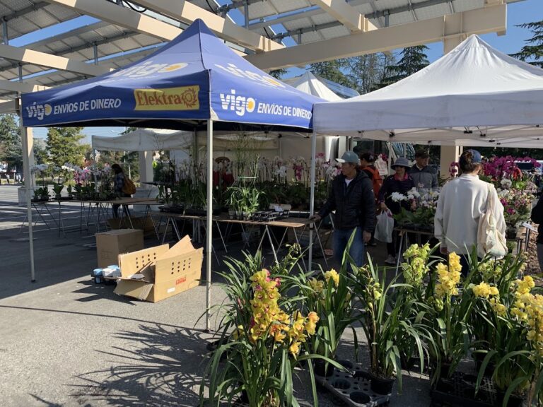 src de anza college flea market 1 768x576